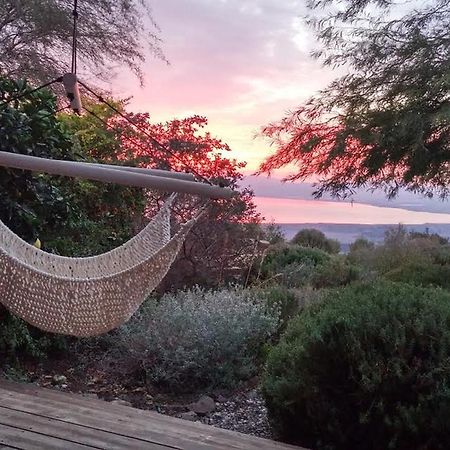 Green Island Ma'ale Gamla Εξωτερικό φωτογραφία