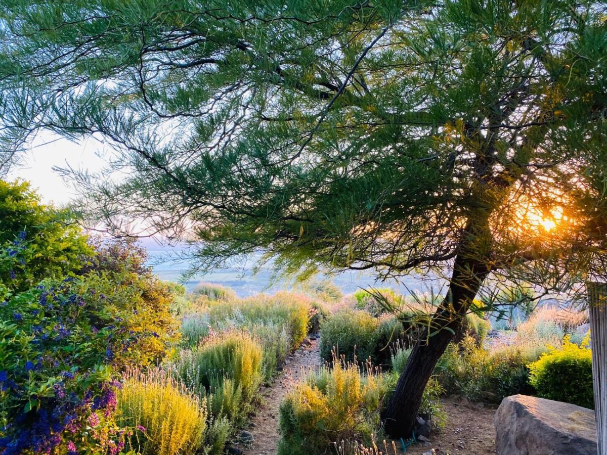 Green Island Ma'ale Gamla Εξωτερικό φωτογραφία