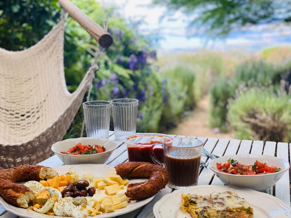 Green Island Ma'ale Gamla Εξωτερικό φωτογραφία